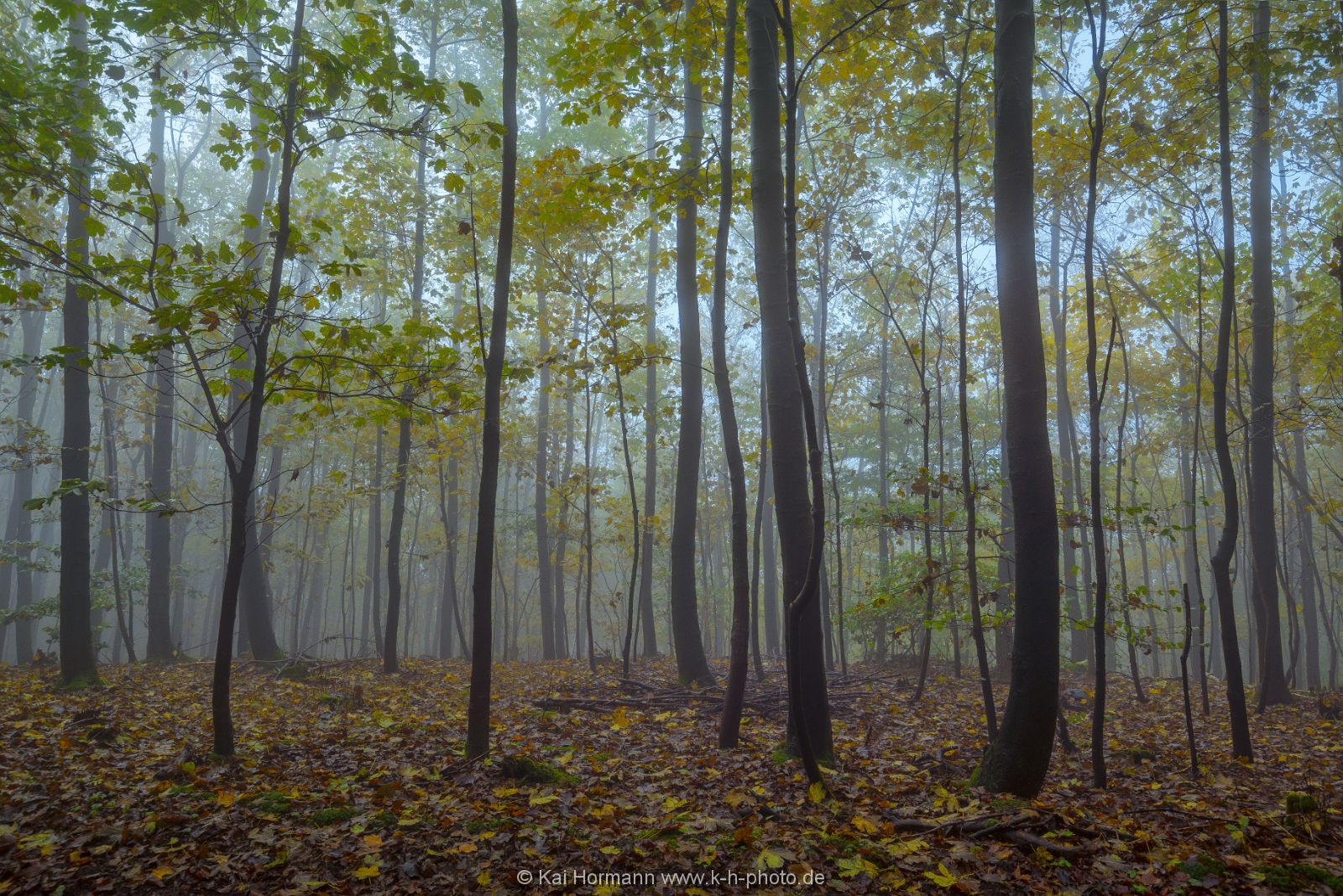 herbst-im-wiehengebirge-2016-21 Das Wiehengebirge.