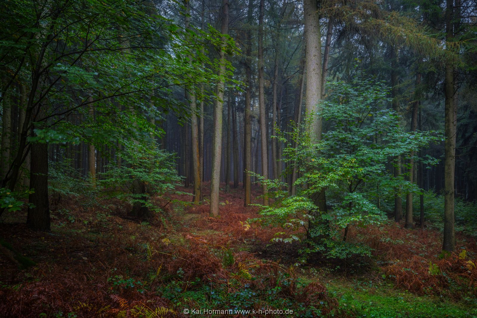 herbst-im-wiehengebirge-2016-3 Das Wiehengebirge.