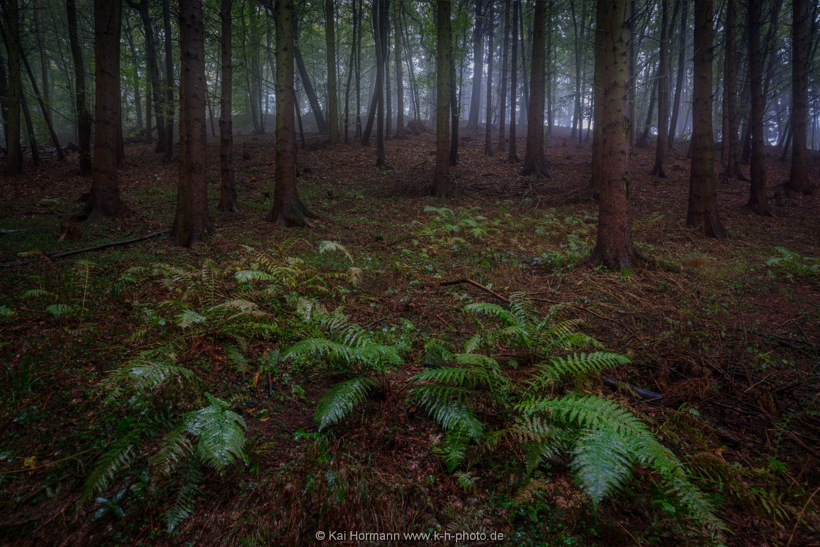 herbst-im-wiehengebirge-2016-5 Das Wiehengebirge.