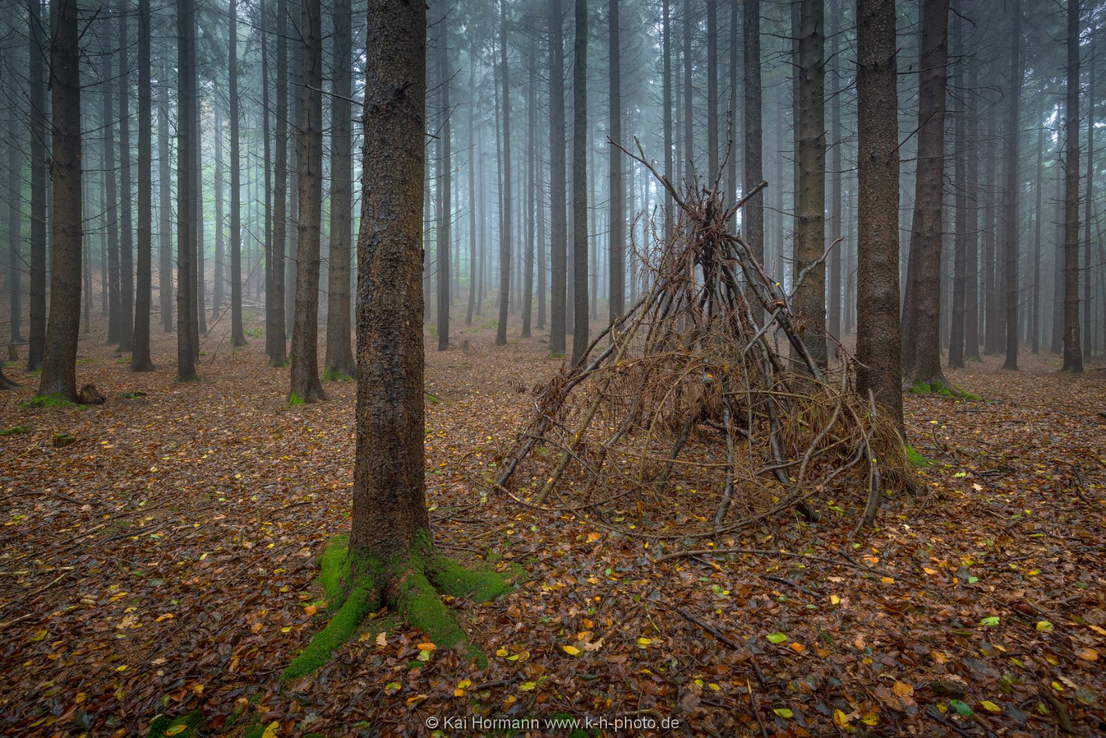 herbst-im-wiehengebirge-2016-6 Das Wiehengebirge.