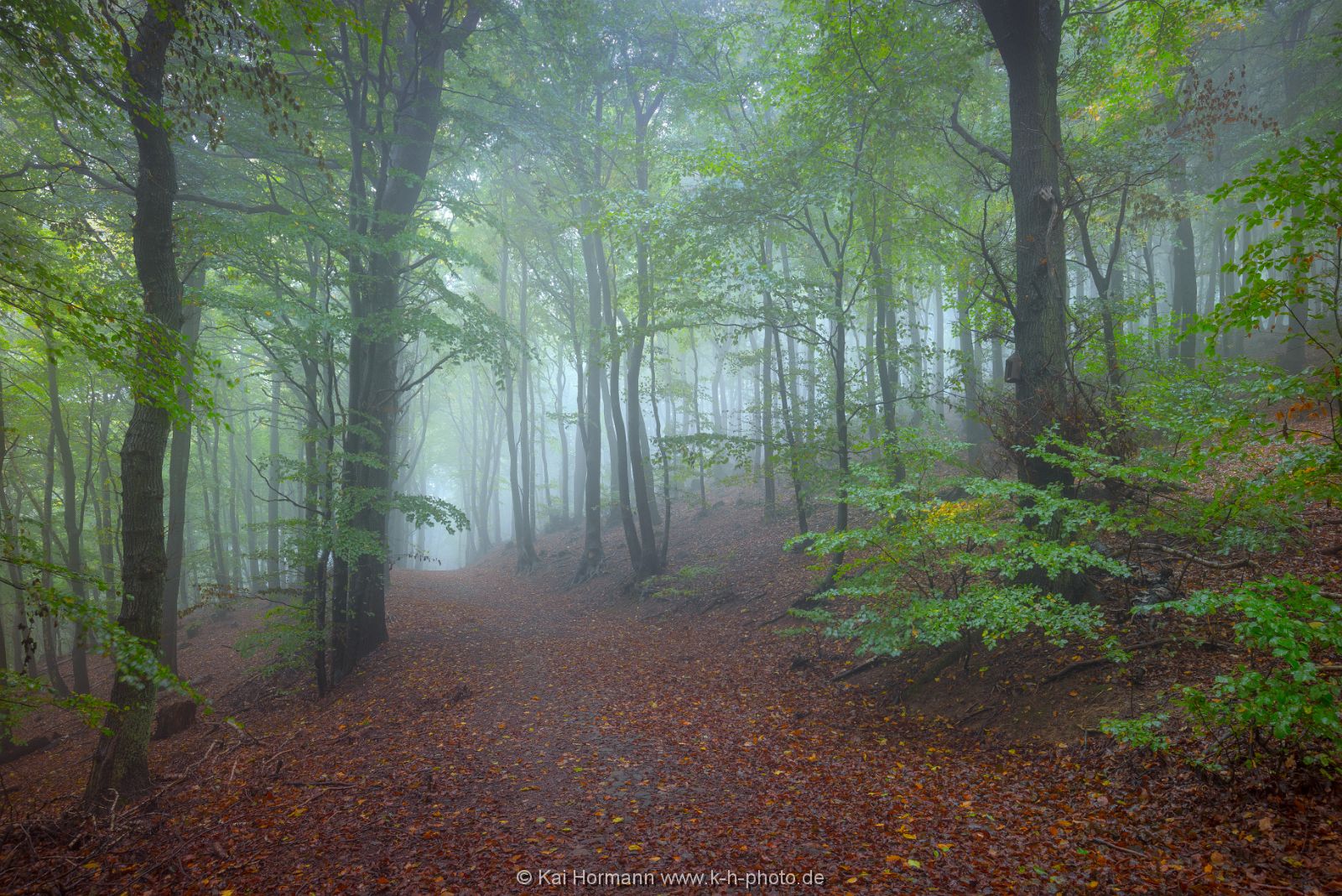 herbst-im-wiehengebirge-2016-7 Das Wiehengebirge.