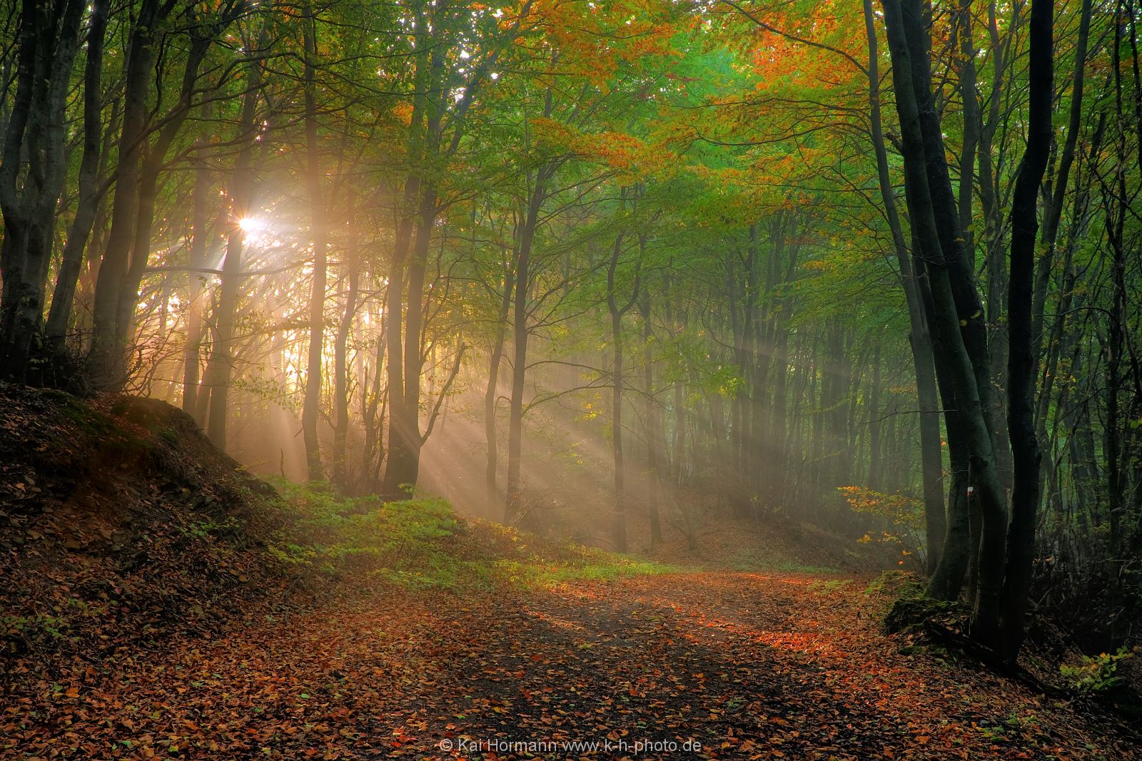 herbst-im-wiehengebirge Das Wiehengebirge.