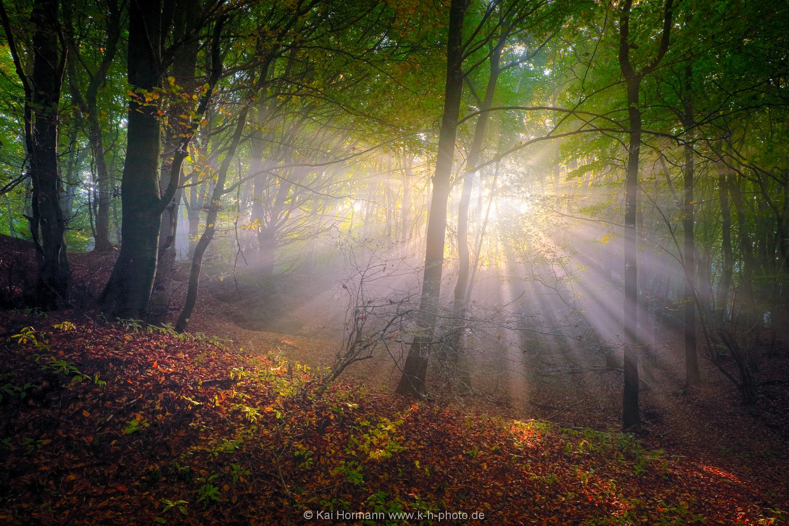 herbstlicht-1 Das Wiehengebirge.