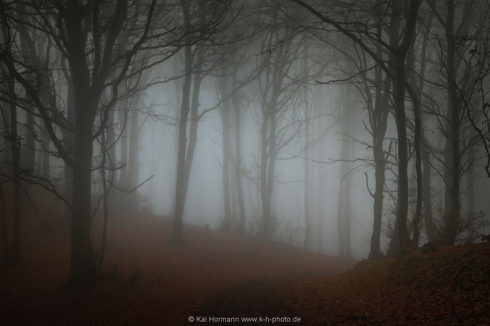 im-reich-der-schatten Das Wiehengebirge.