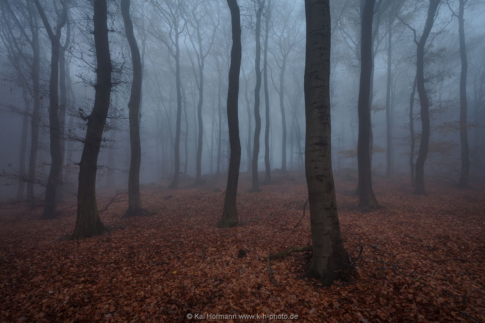 novembernebel-2013-1 Das Wiehengebirge.