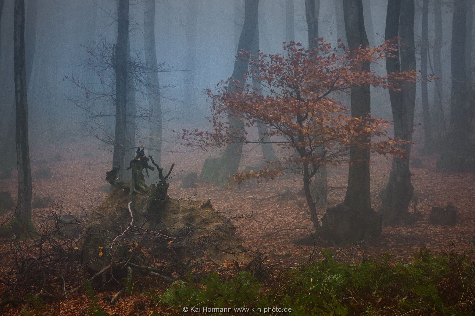 novembernebel-2013-2 Das Wiehengebirge.