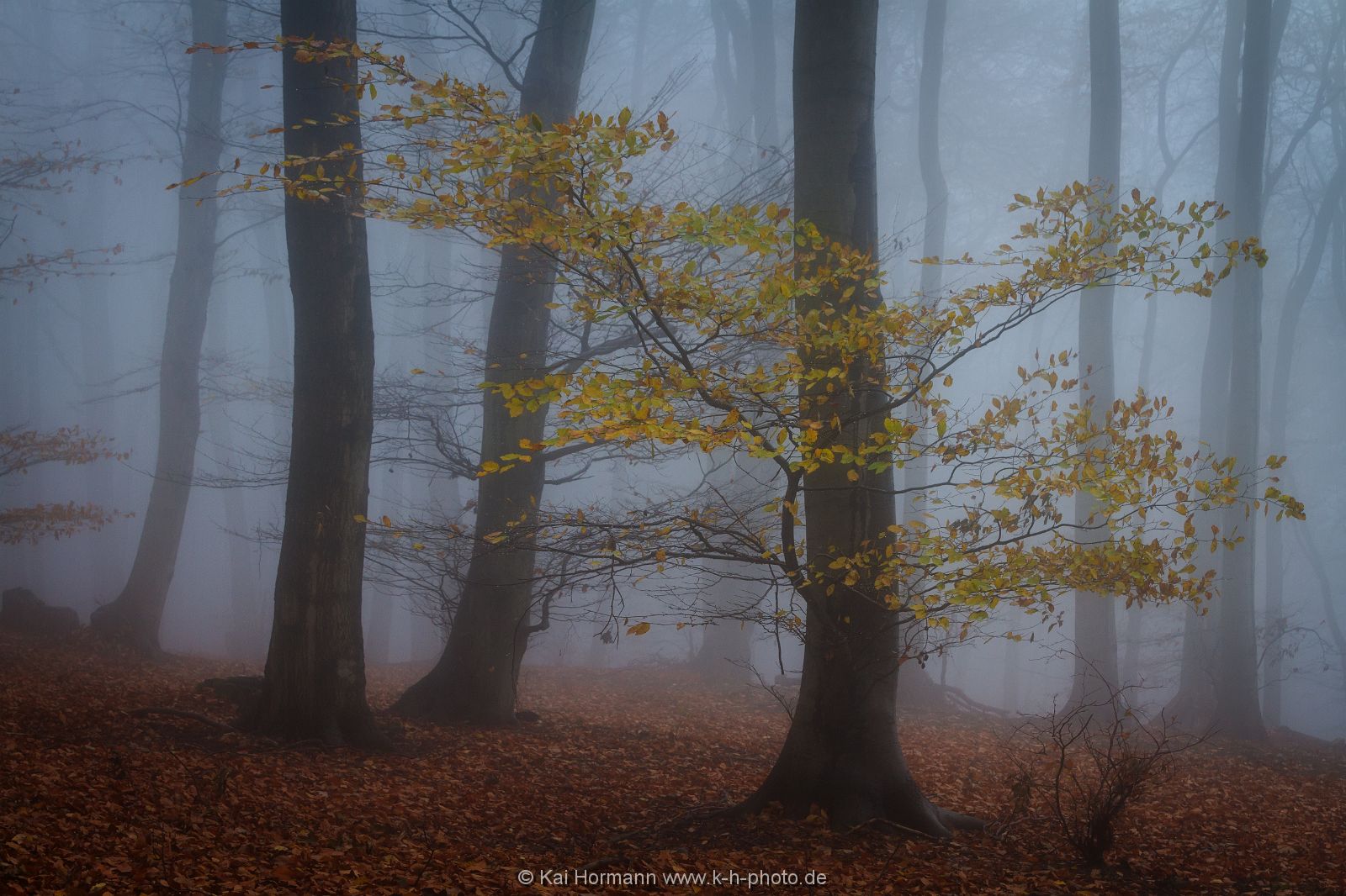 novembernebel-2013-4 Das Wiehengebirge.