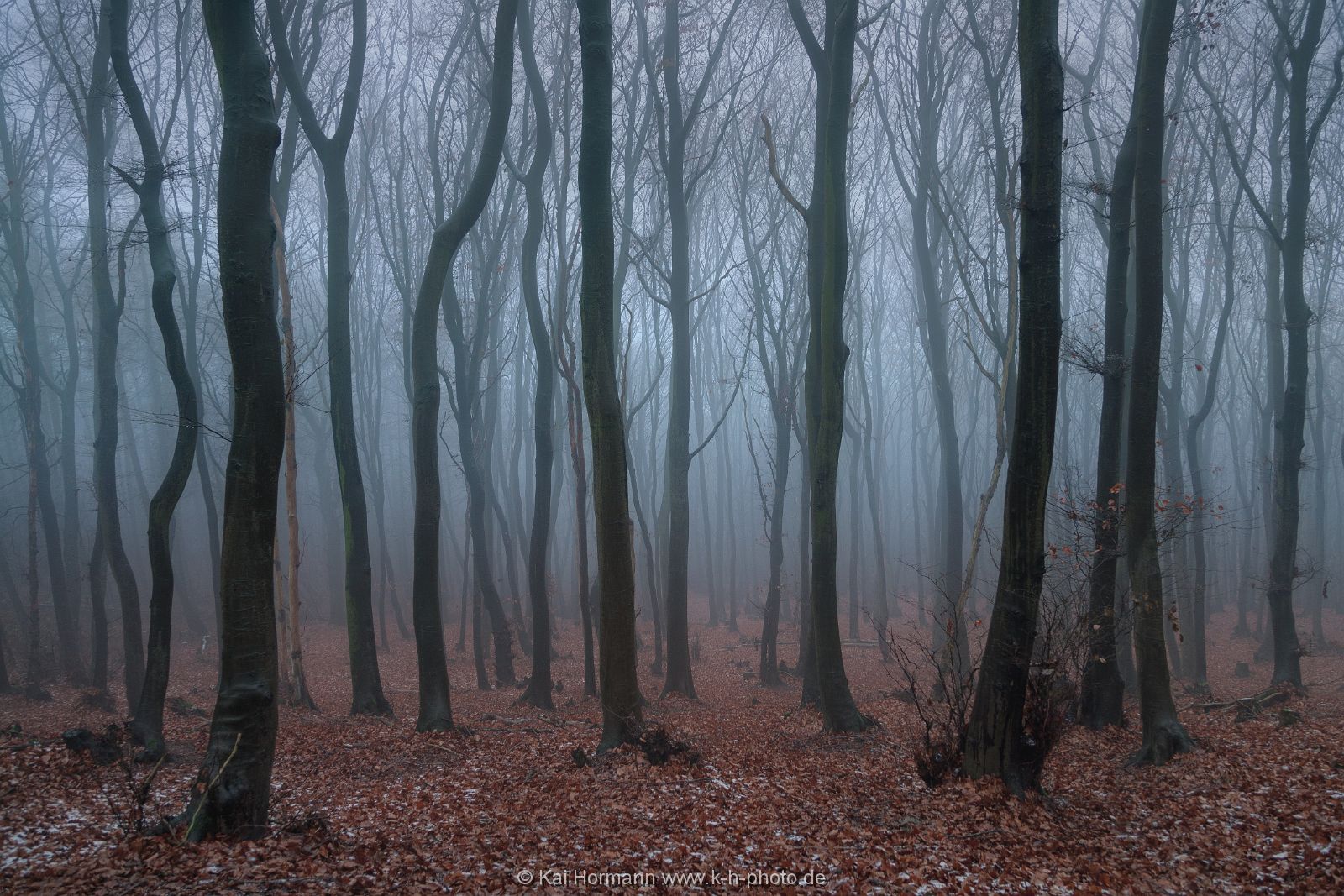 novembernebel Das Wiehengebirge.