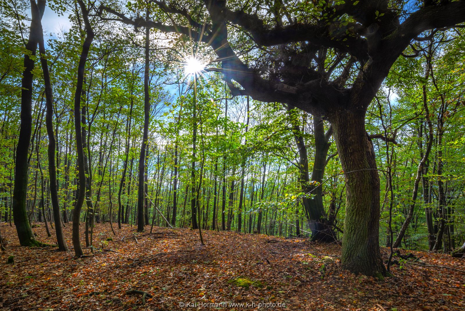 wiehengebirge-oktober-2018-bild-2 Das Wiehengebirge.