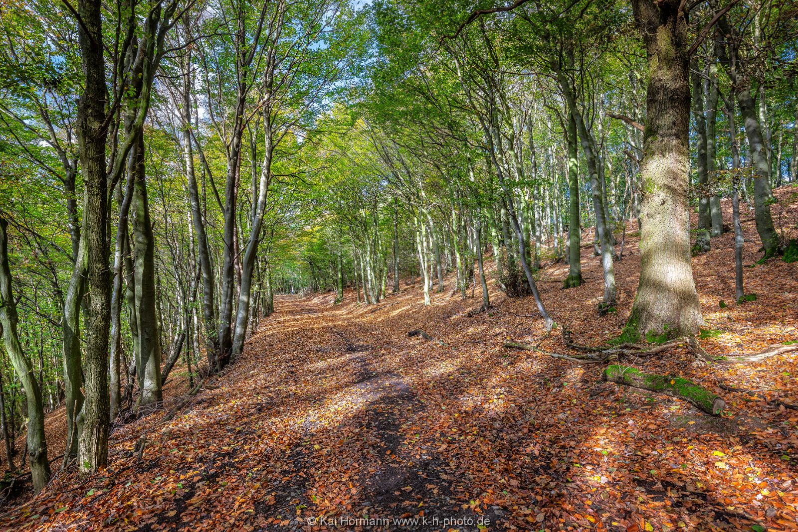 wiehengebirge-oktober-2018-bild-3 Das Wiehengebirge.
