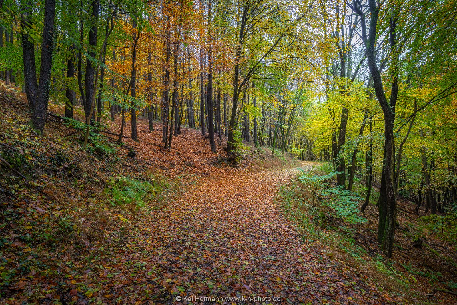 wiehengebirge_herbst_2020_22 Das Wiehengebirge.