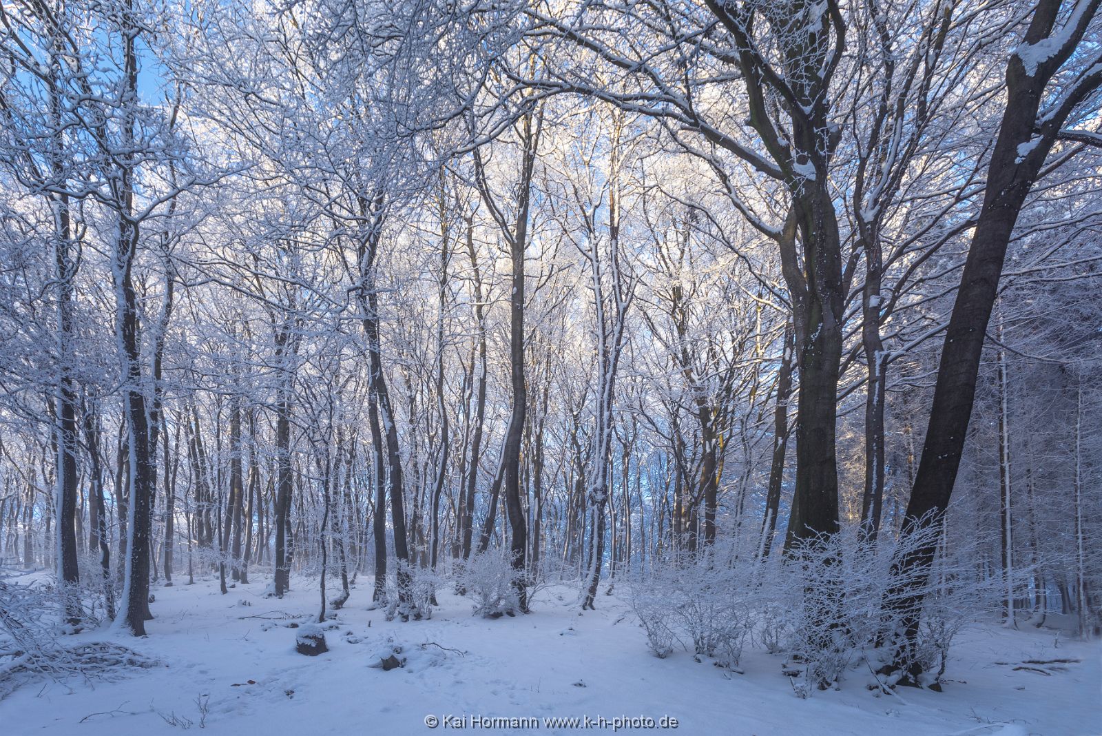 winter-2016--21 Das Wiehengebirge.