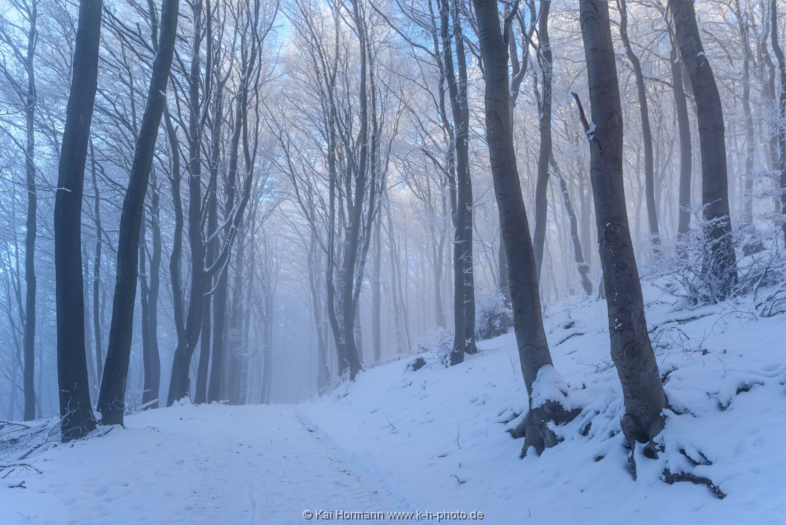 winter-2016--27 Das Wiehengebirge.