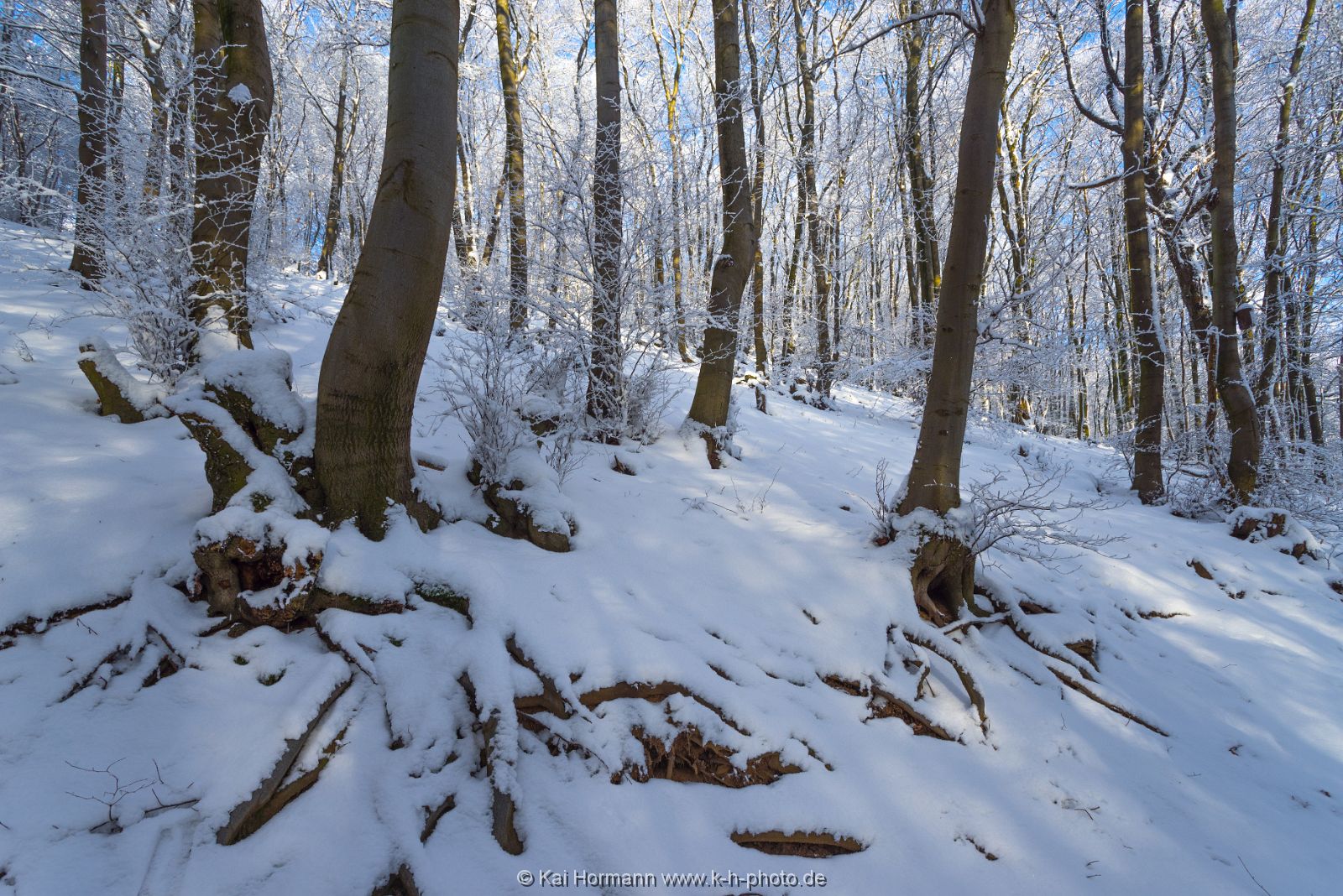winter-2016--28 Das Wiehengebirge.