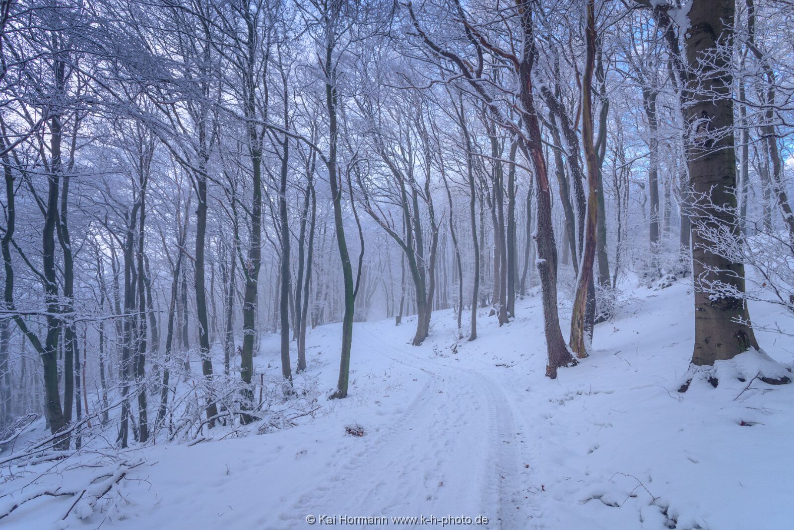 winter-2016--29 Das Wiehengebirge.