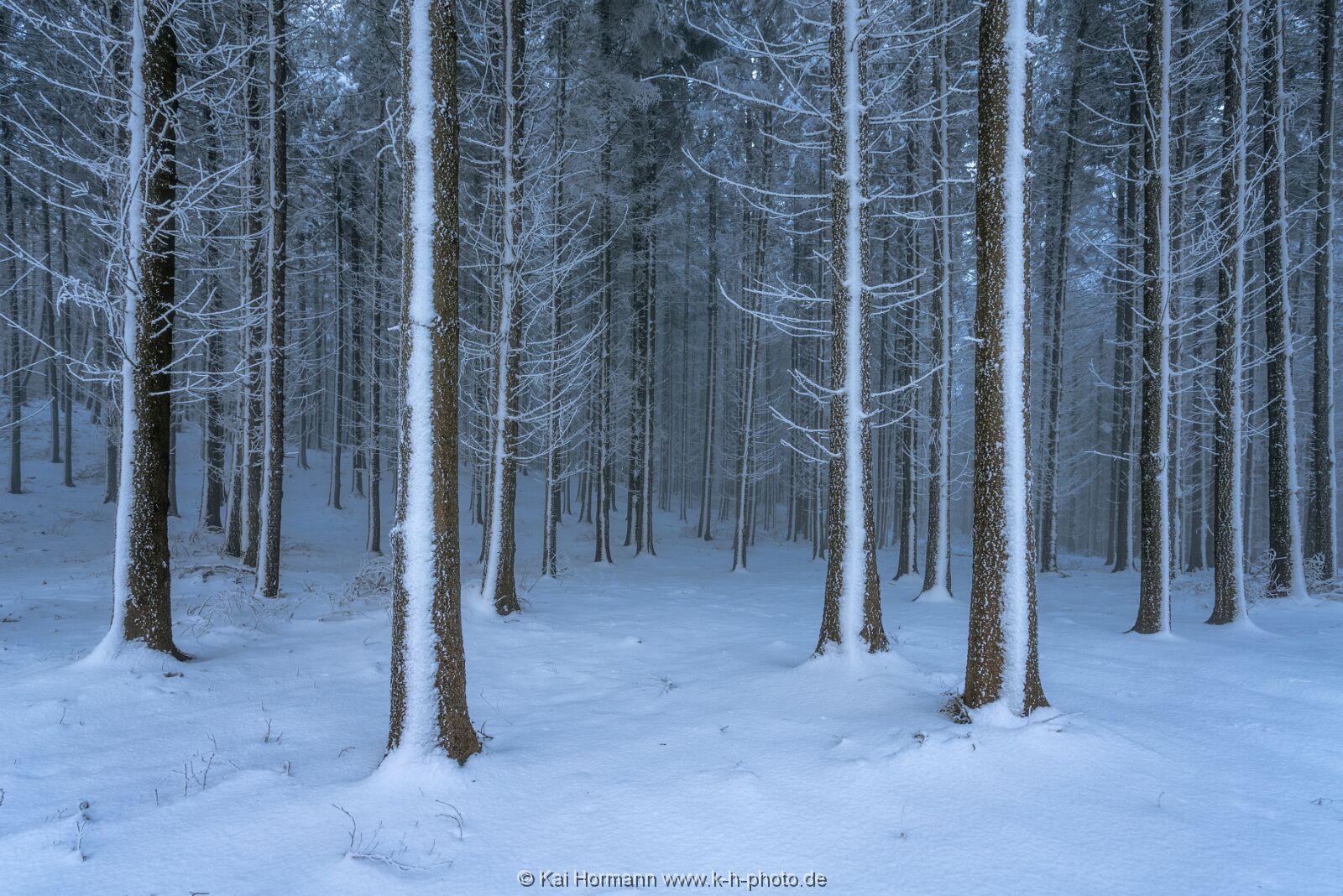 winter-2016--35 Das Wiehengebirge.