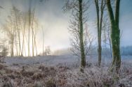 Wiehengebirge 19 Januar 2025 10.
