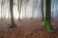 Wiehengebirge 19 Januar 2025 13.