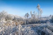 Wiehengebirge 19 Januar 2025 2.
