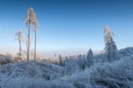Wiehengebirge 19 Januar 2025 3.