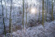 Wiehengebirge 19 Januar 2025 4.