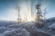 Wiehengebirge 19 Januar 2025 6.