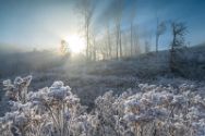 Wiehengebirge 19 Januar 2025 7.