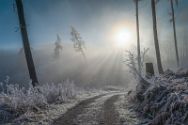 Wiehengebirge 19 Januar 2025 8.