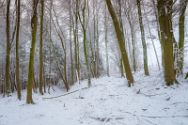 wiehengebirge 22.01.2023 2 Das Wiehengebirge.