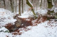 wiehengebirge 22.01.2023 3 Das Wiehengebirge.