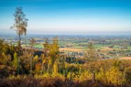 Wiehengebirge 3 November 2024 5.