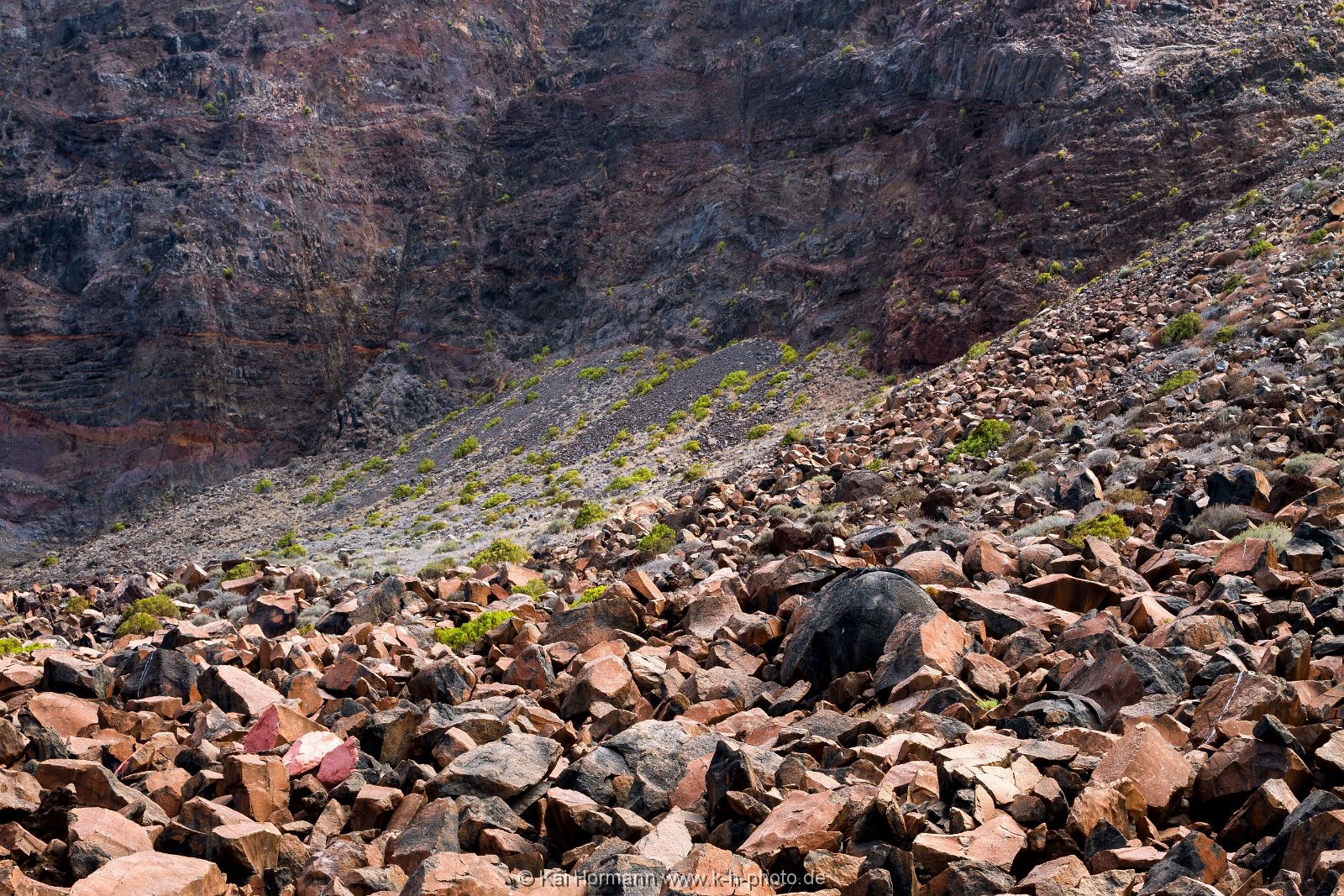 La Gomera 44 La Gomera