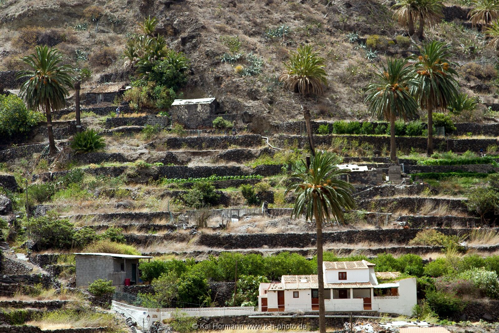 La Gomera 54 La Gomera