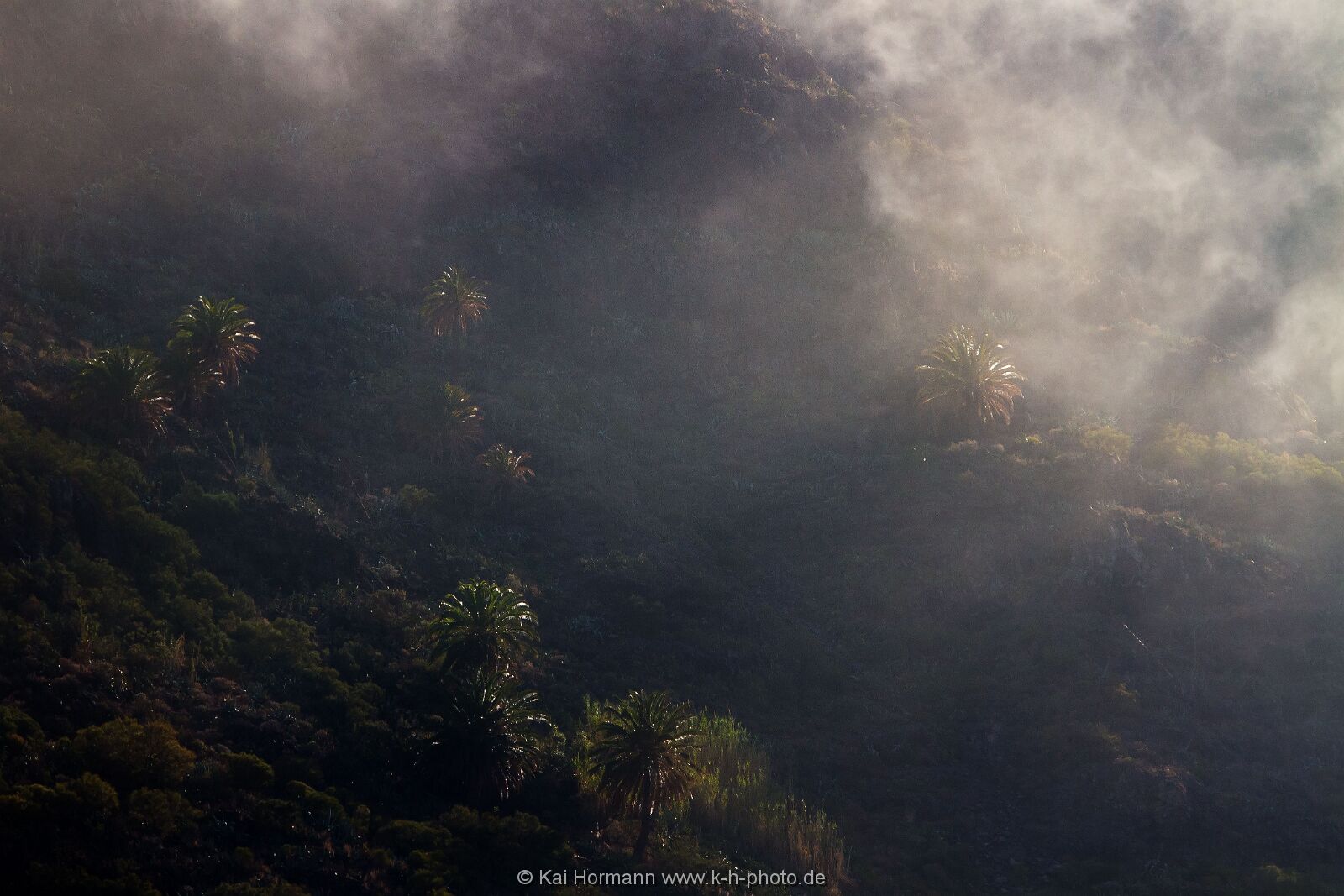 La Gomera 69 La Gomera
