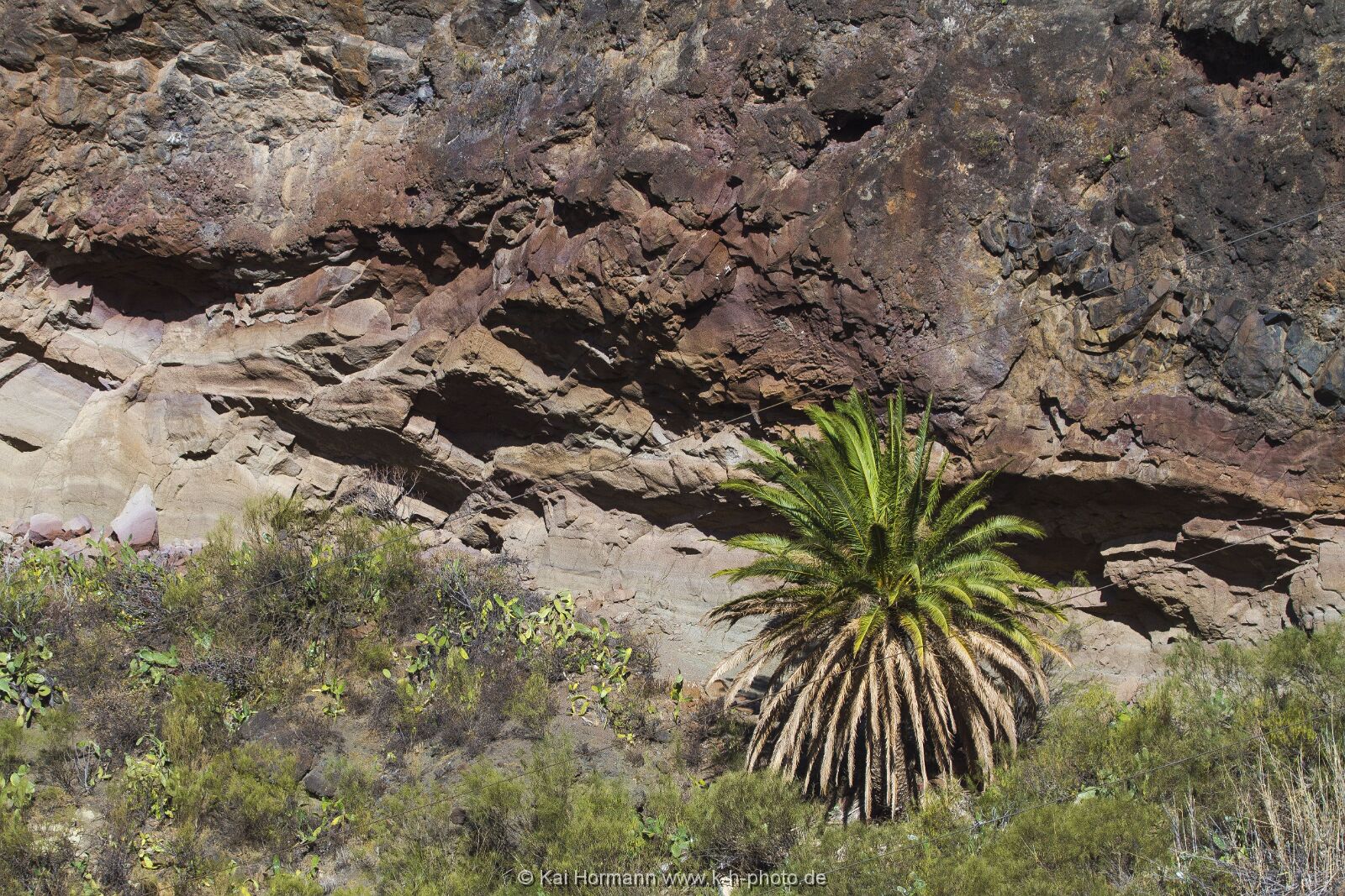 La Gomera 7 La Gomera