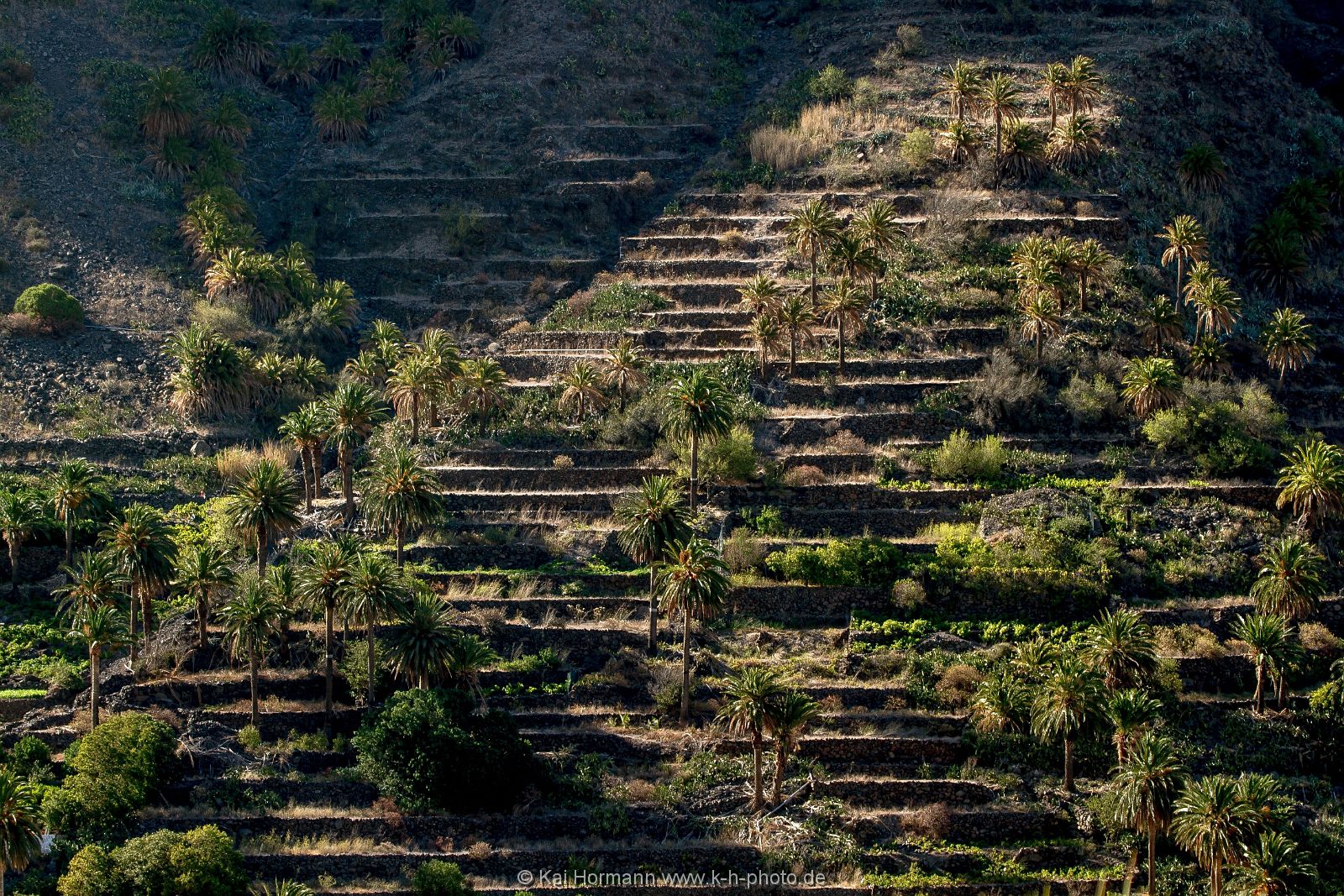 La Gomera 79 La Gomera