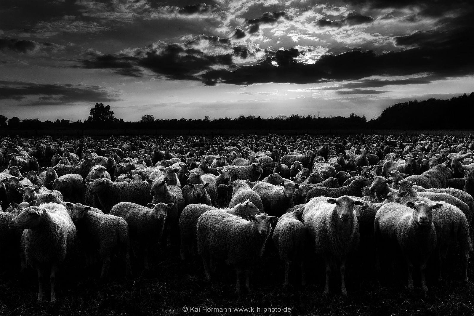 schwarz weiß bilder Schwarz Weiß Bilder.