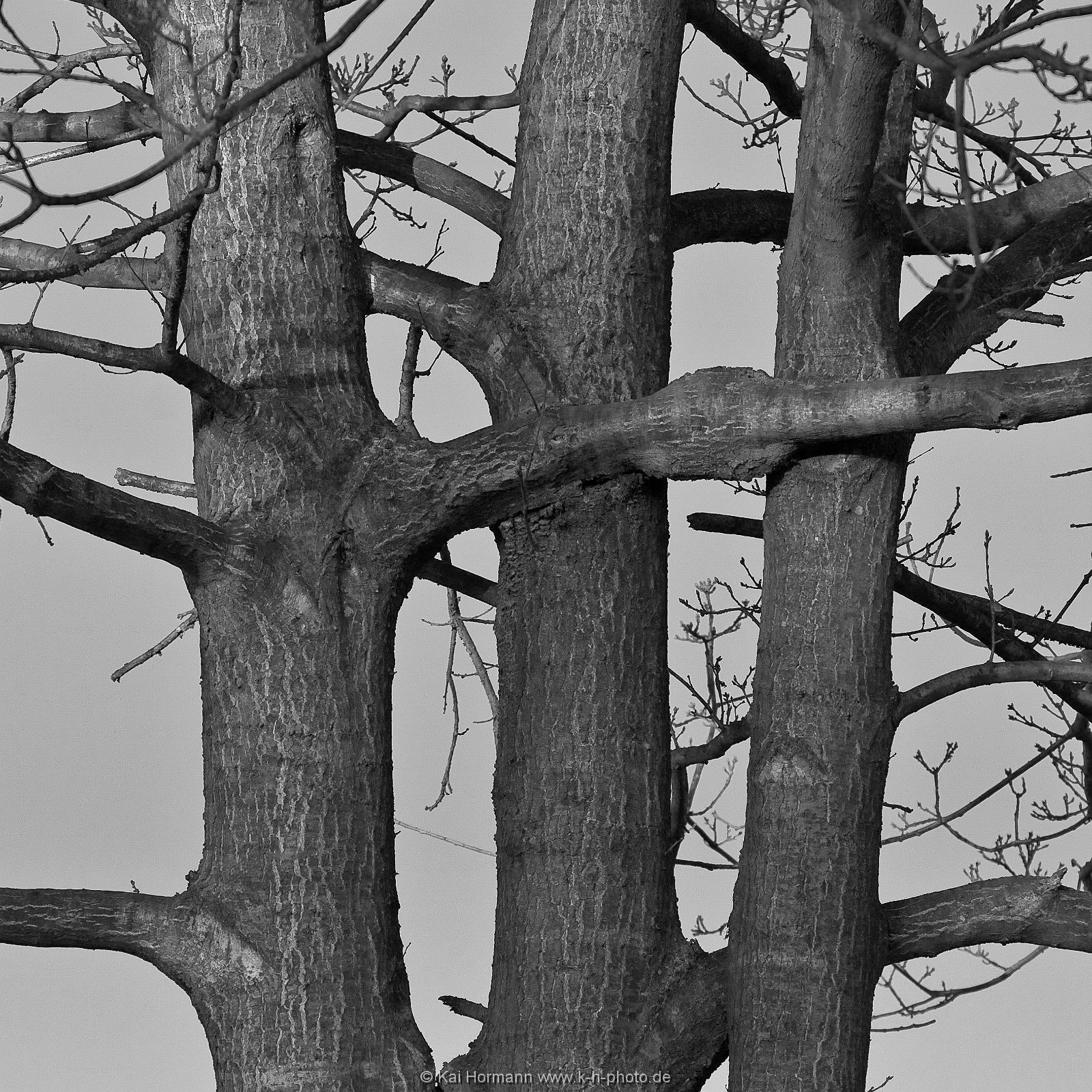 sw-aufnahmen-018 Schwarz Weiß Bilder.