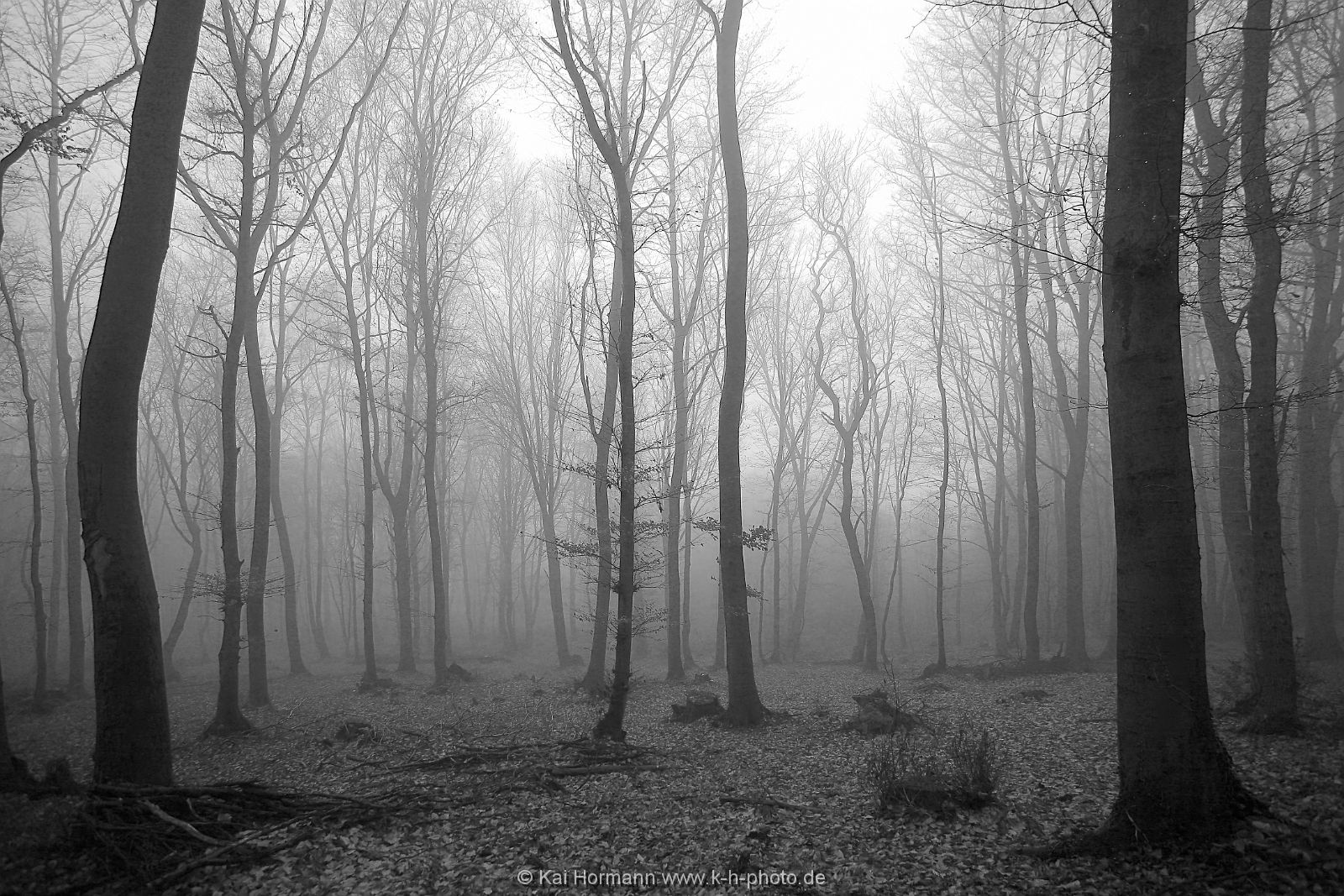 sw-aufnahmen-021 Schwarz Weiß Bilder.
