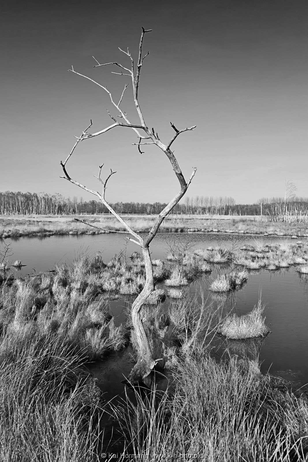 sw-aufnahmen-032 Schwarz Weiß Bilder.