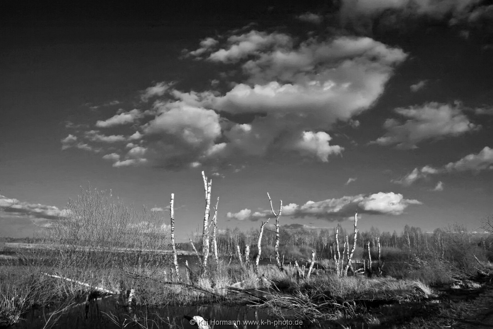 sw-aufnahmen-036 Schwarz Weiß Bilder.