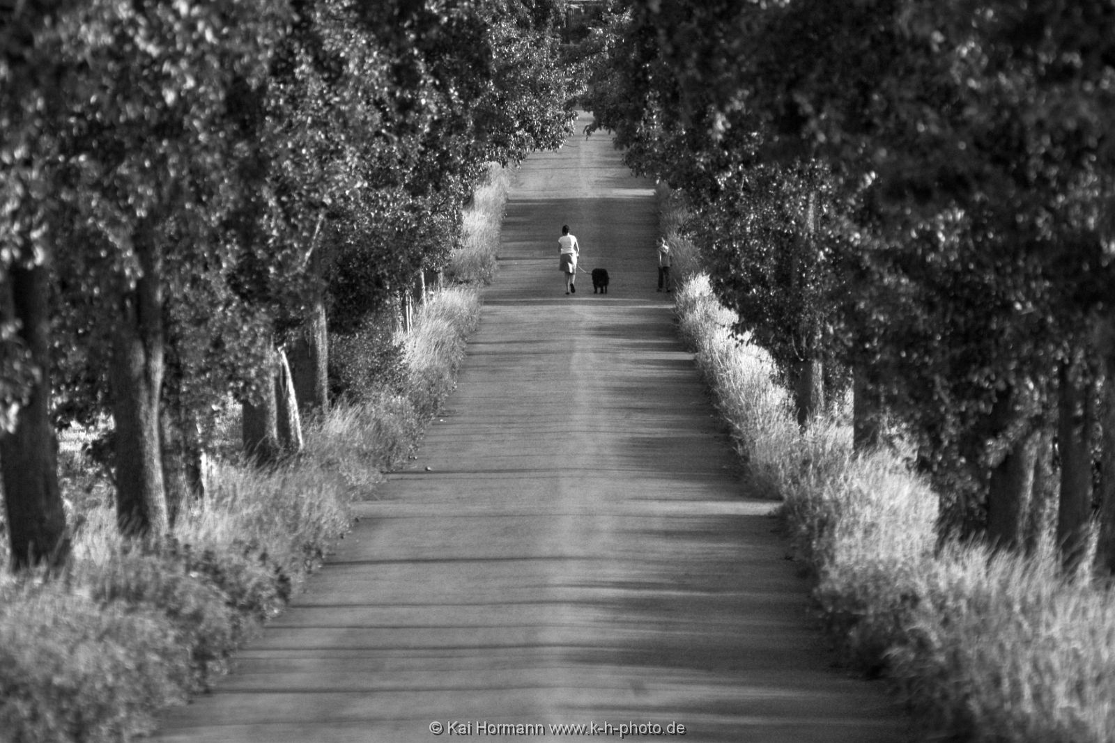 sw-aufnahmen-045 Schwarz Weiß Bilder.