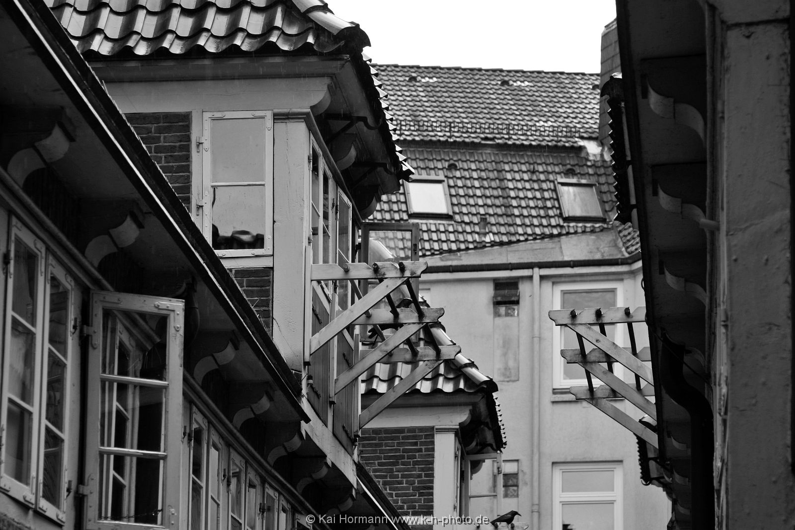sw-aufnahmen-055 Schwarz Weiß Bilder.