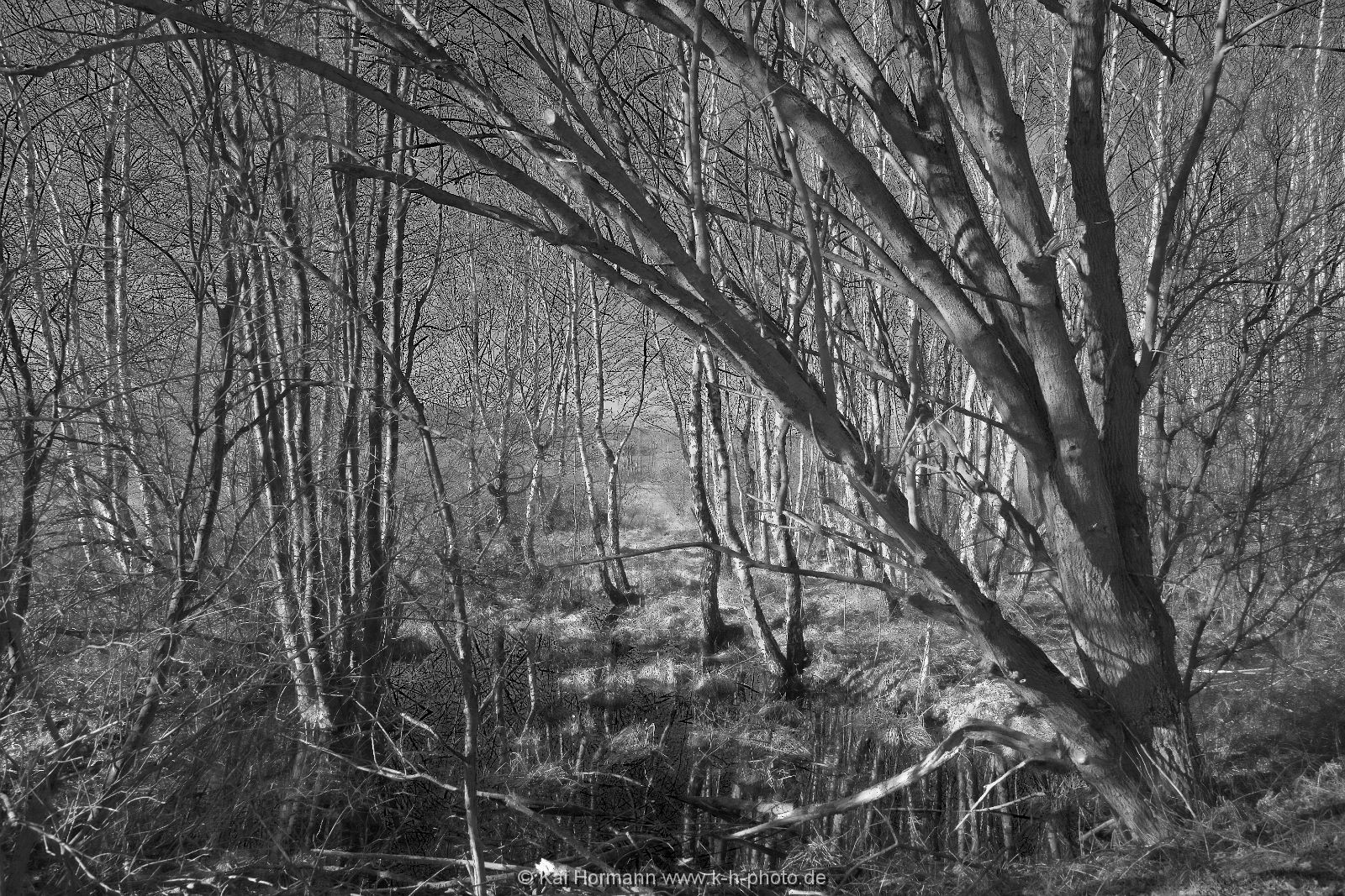 sw-aufnahmen-061 Schwarz Weiß Bilder.