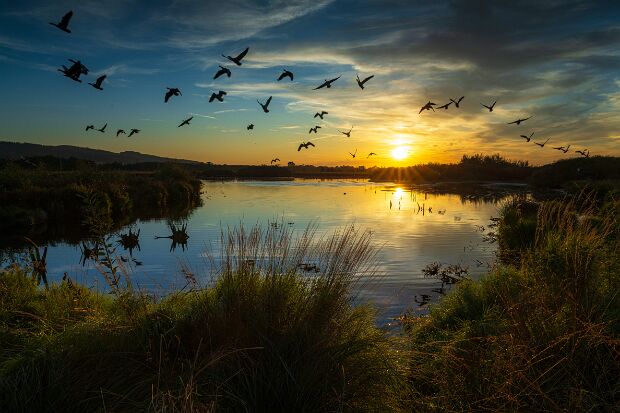 Natur und Landschaft Unterkategorie: Großes Torfmoor, Wiehengebirge, Makroaufnahmen, Wildlife, Astro & Nachtaufnahmen. © Kai Hormann...