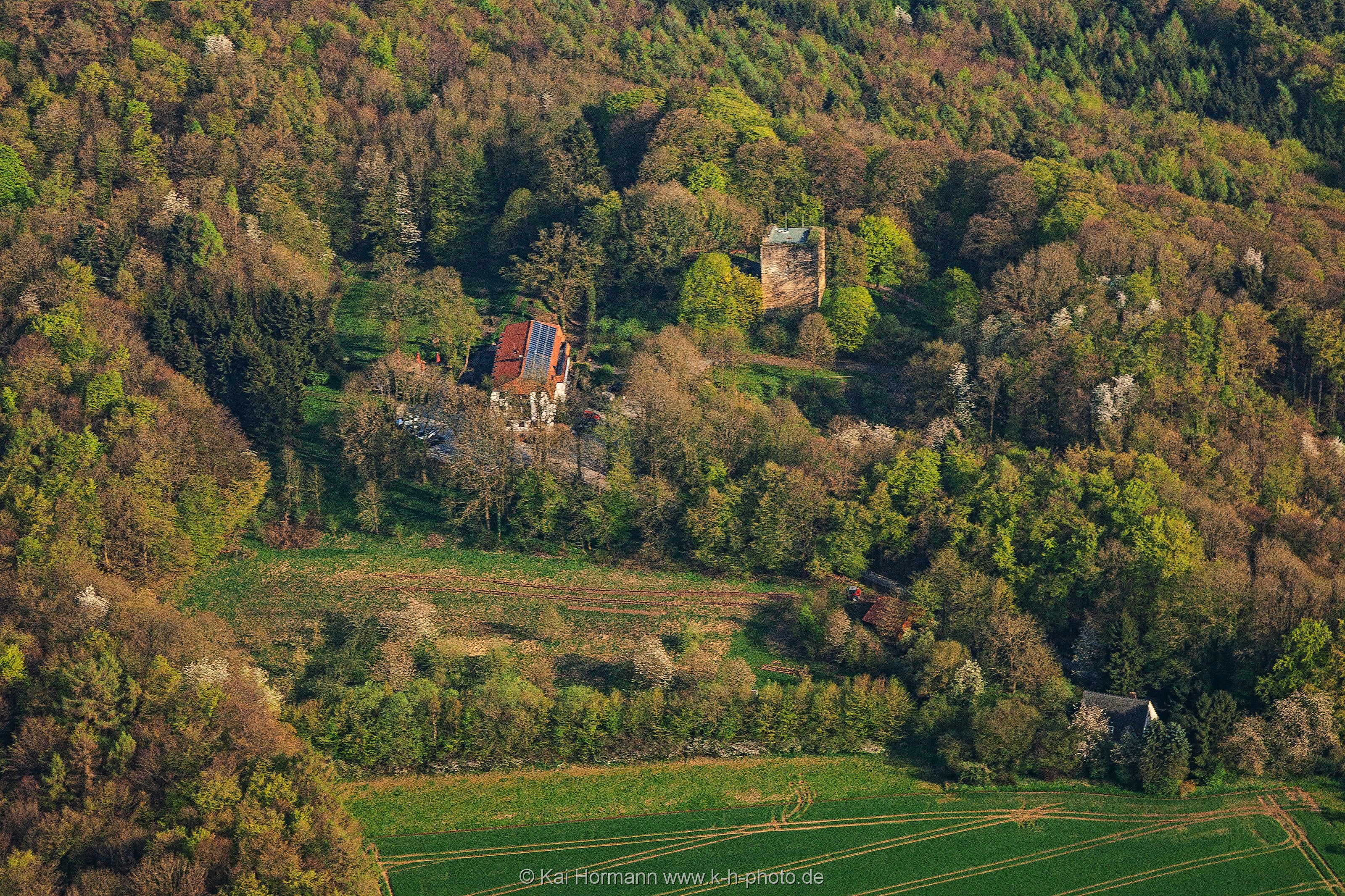 burg-limberg Burg Limberg aus nördlicher Richtung. April 2018