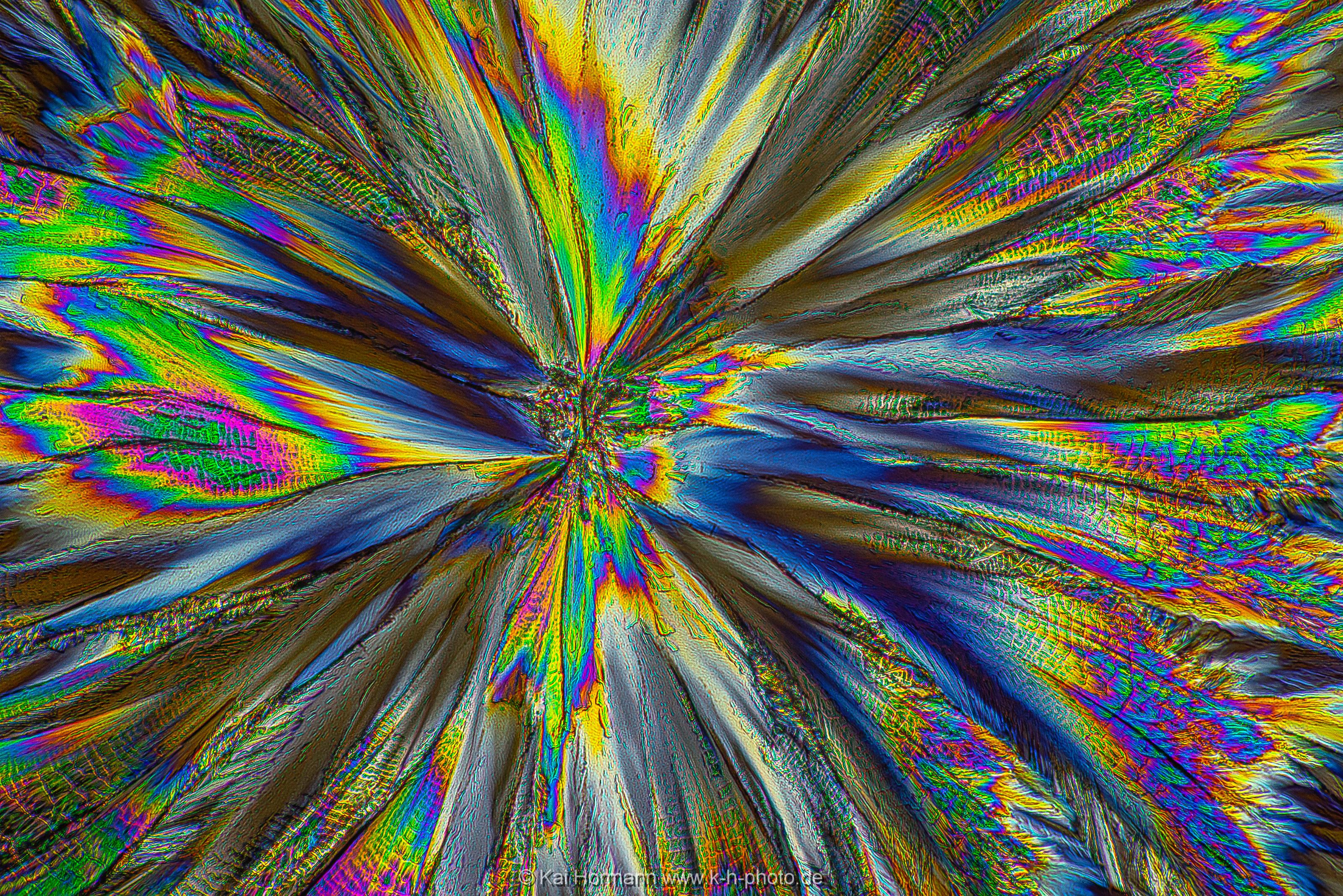 Acetylsalicylsäure Mikrokristalle im polarisierten Licht.