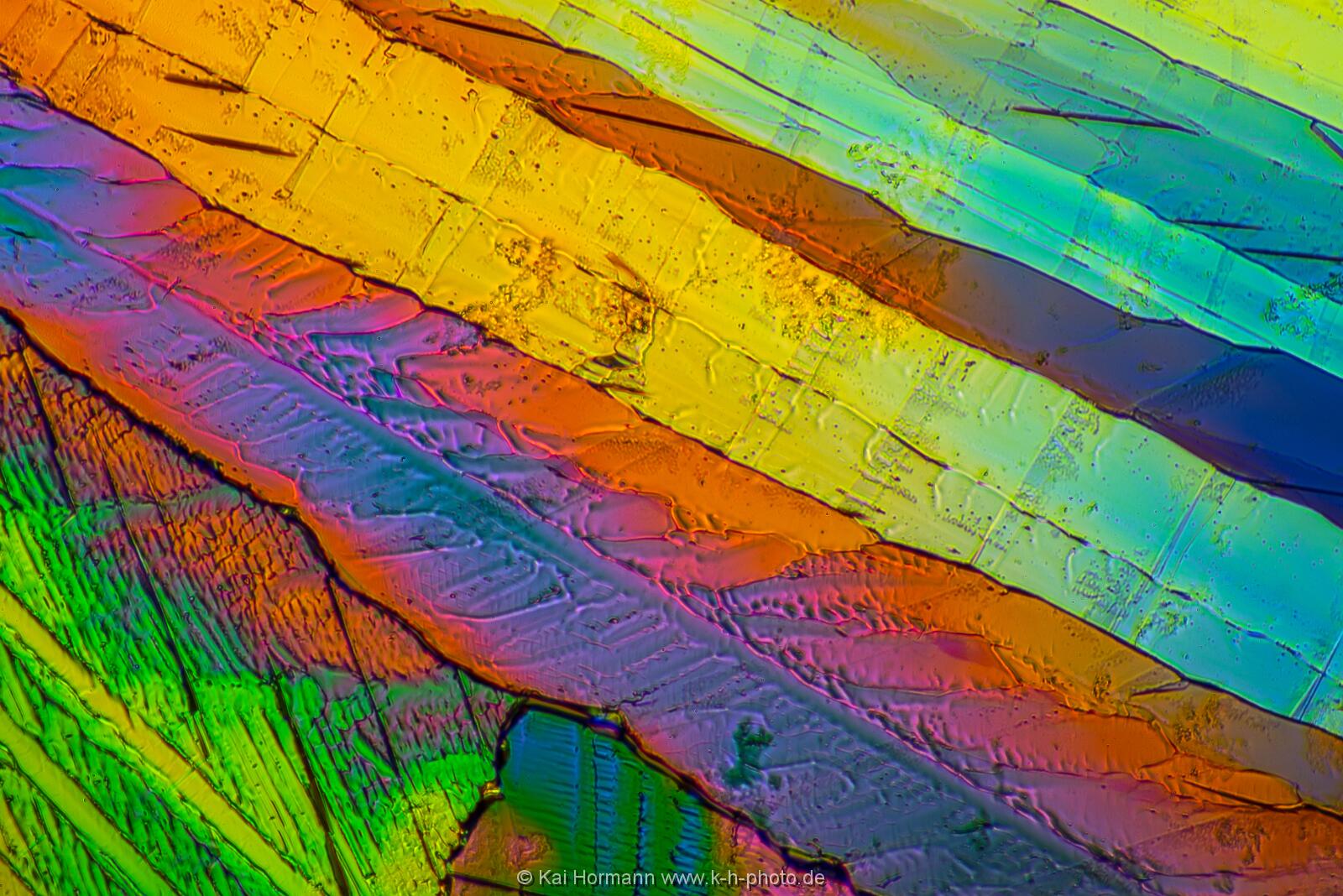 Adipinsäure Mikrokristalle im polarisierten Licht.