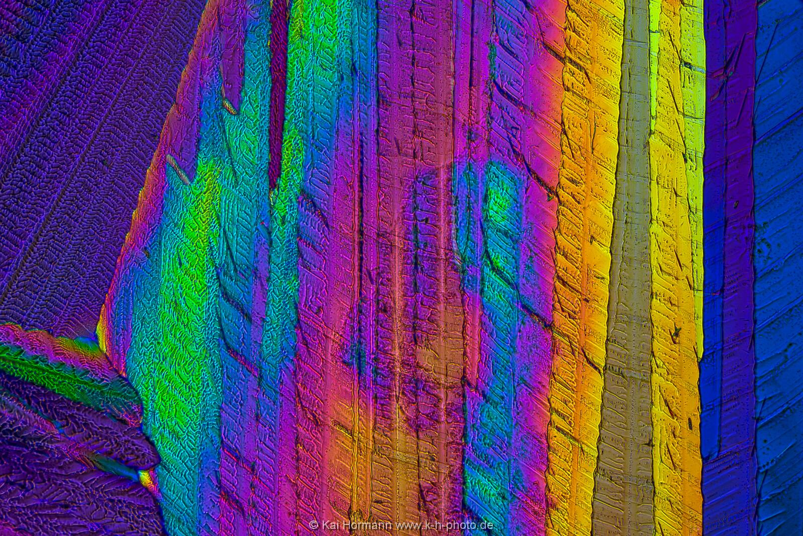 Adipinsäure Mikrokristalle im polarisierten Licht.