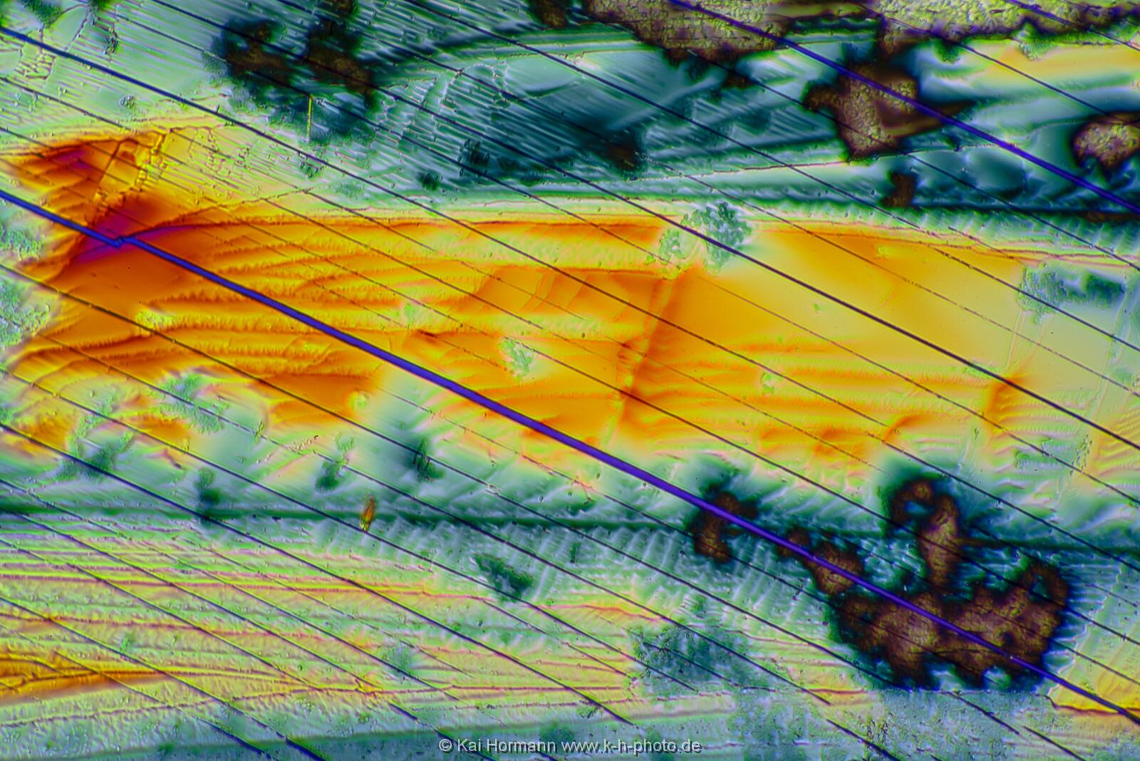 Adipinsäure Mikrokristalle im polarisierten Licht.